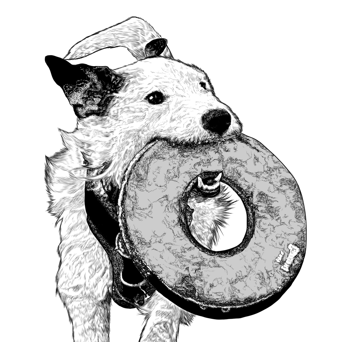 Pet Fee