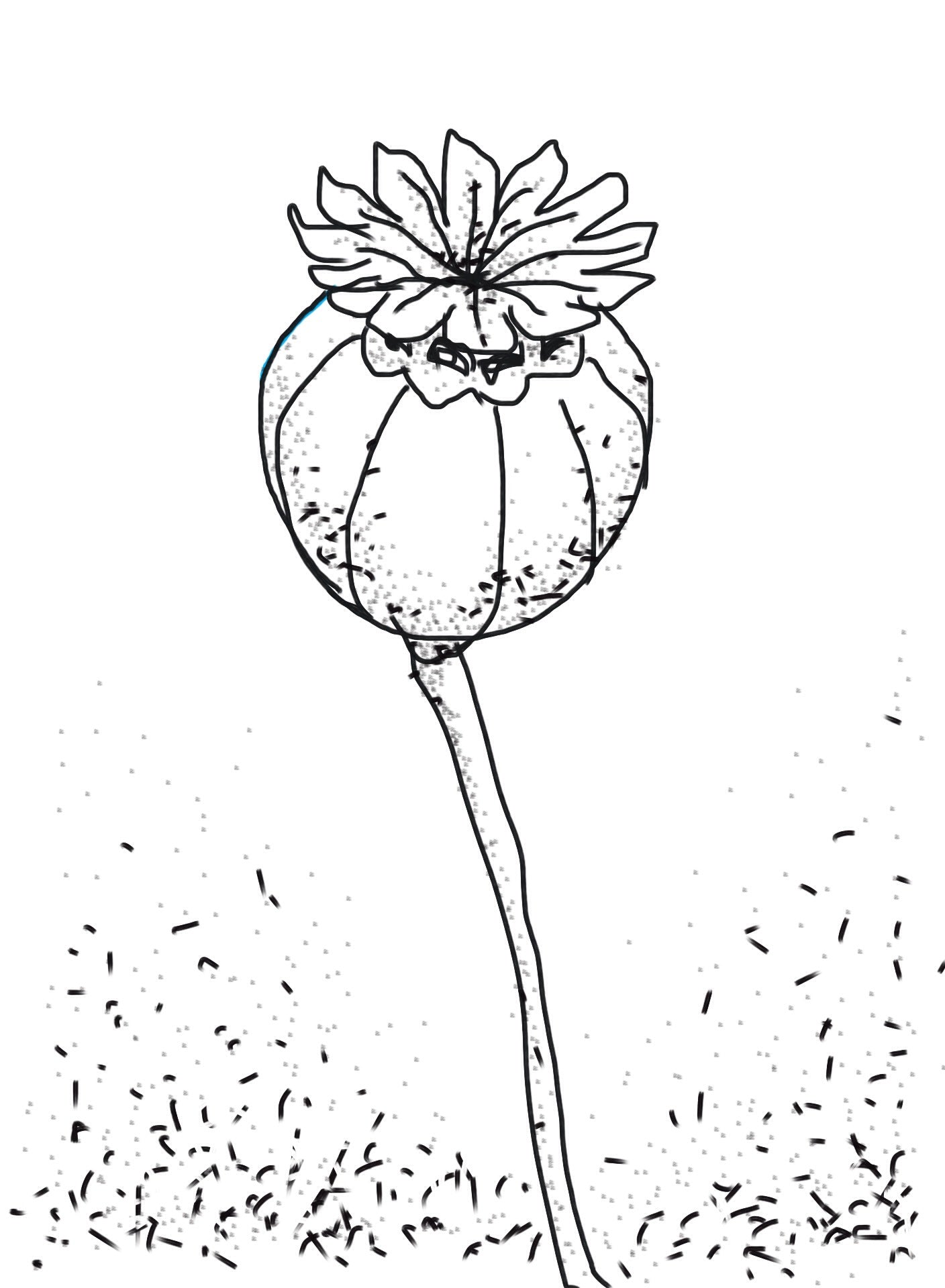 Tin Poppy Retreat Accommodation Gift Certificate