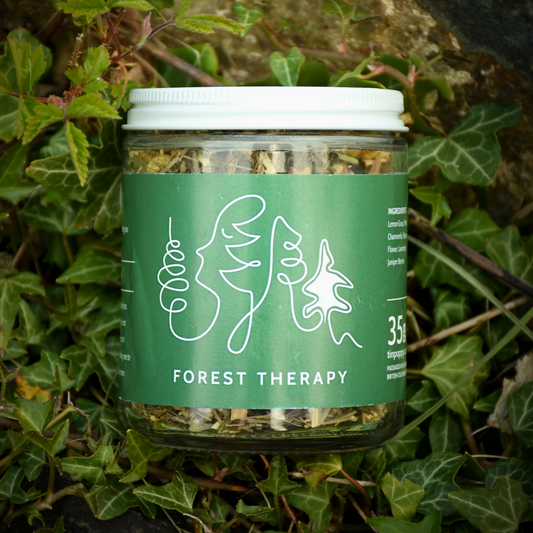 Forest Therapy Tea