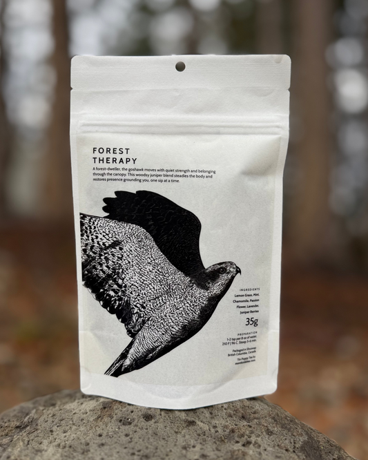 Forest Therapy Tea